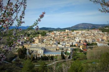 Día de San Vicente