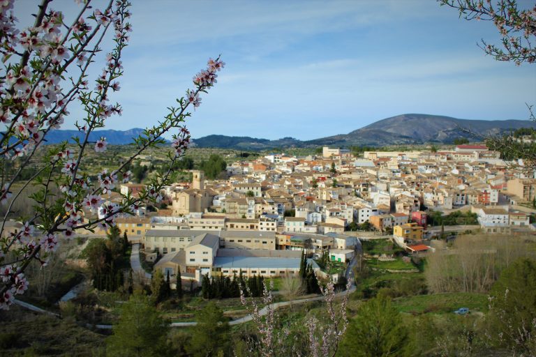 Día de San Vicente